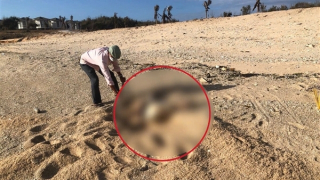 Phần thi thể nữ dạt vào bờ biển Ninh Thuận có liên quan vụ giết người ở Đà Nẵng?