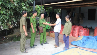 Giảm tầng nấc trong tổ chức bộ máy, giảm trung gian trong điều hành