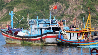 Bình Định: 2 thuyền viên rơi xuống biển, mất tích