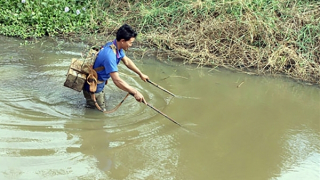 Ngăn chặn hành vi đánh bắt thủy sản bằng xung điện trên sông
