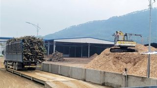 Phớt lờ lệnh cấm, nhiều cơ sở gỗ băm dăm không phép ở Hà Tĩnh vẫn hoạt động