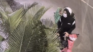 Truy xét kẻ cướp… 10kg thịt bò