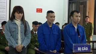 Làm giả giấy tờ để tiếp sức cho đường dây... mang thai hộ