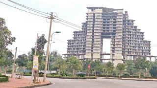 Cương quyết thu hồi các “khu đất vàng” bỏ hoang