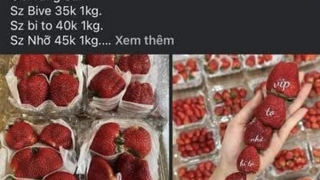 Tìm bị hại trong vụ “chủ vựa hoa quả” lừa tiền cọc khách hàng