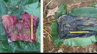 Phát hiện thi thể nữ tử vong cách đây 2-4 tháng