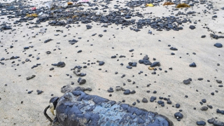 Hàng chục tấn dầu vón cục trôi dạt vào bờ biển ở Huế