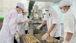 Cách nào để hàng Việt “rộng cửa” vào thị trường EU?