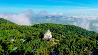 Lâm Viên Núi Cấm ghi nhận tăng trưởng dịp Tết 2025