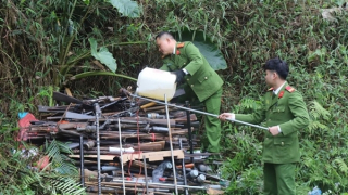 Tiêu huỷ hơn 300 khẩu súng cất giấu trái phép