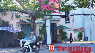 Karaoke Thy Ca không niêm yết giá và để xảy ra hoạt động khiêu dâm, kích dục