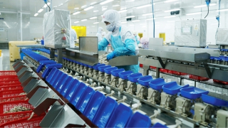 Ứng phó với các “hàng rào” tiêu chuẩn mới để giữ vững thị trường xuất khẩu