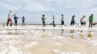 Cơ hội để nâng cao giá trị hạt muối Việt Nam