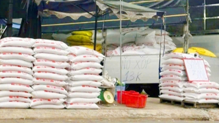 Tình trạng mua bán gạo kém chất lượng hai bên đường ở Bến Tre