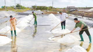 Bảo đảm tuyệt đối an toàn Festival nghề muối Việt Nam lần đầu tổ chức tại Bạc Liêu