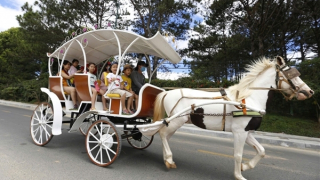 Vướng luật, nhiều dịch vụ du lịch  nổi tiếng ở Đà Lạt dừng hoạt động