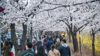 Du lịch Việt Nam - Hàn Quốc vượt qua con số 5 triệu lượt khách