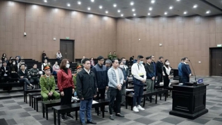 Ba cựu Phó Giám đốc Sở trong vụ “chuyến bay giải cứu” giai đoạn 2 xin giảm nhẹ hình phạt