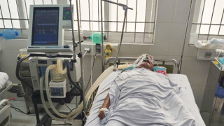 Ăn cá nóc, 4 người ở Cà Mau bị ngộ độc