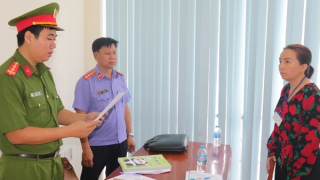 Đưa ra thông tin gian dối để lừa đảo gần 12 tỷ đồng