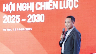 Ông Nguyễn Văn Tuấn xin từ nhiệm HĐQT để tập trung vai trò CEO GELEX