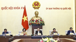 Tiếp tục đổi mới mạnh mẽ quy trình lập pháp trên tinh thần “tròn vai, thuộc bài”