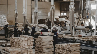 Doanh nghiệp xuất khẩu gỗ chủ động ứng phó trước nguy cơ Mỹ tăng thuế