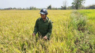 Dòng nước mát đưa xã biên giới ấm no