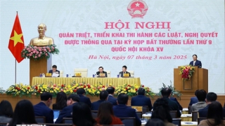 Thủ tướng: Nâng cao chất lượng, bảo đảm tiến độ các văn bản quy phạm pháp luật