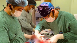 Ngại đi khám, người phụ nữ đeo khối u ngực "khổng lồ" suốt 3 năm