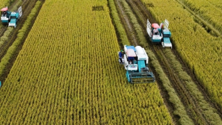 Kết thúc hội nghị lúa gạo ở Cần Thơ, Phó Thủ tướng chỉ đạo nhiều vấn đề “nóng"