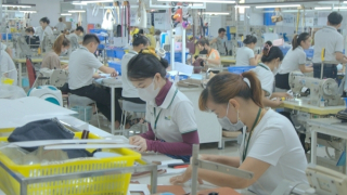 Việt Nam – Indonesia: Nhiều dư địa trong hợp tác thương mại, công nghiệp