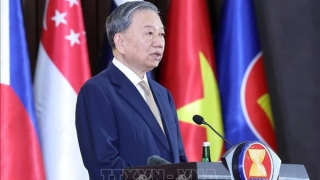 Party chief attends ceremony marking Vietnam’s 30 years of ASEAN membership