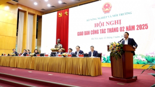 Bộ NN&MT sẽ sửa đổi và bổ sung các quy định liên quan đến đất đai