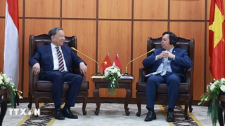 Tổng Bí thư Tô Lâm hội kiến Chủ tịch Hội đồng Đại biểu địa phương Indonesia