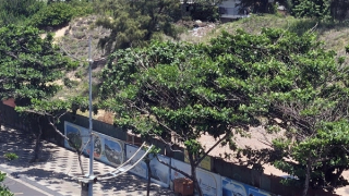 Làm giả giấy tờ nguồn gốc đất để mua bán, lừa đảo hơn 170 tỷ đồng