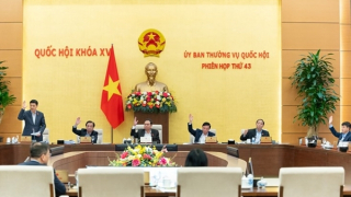 Nhất trí giảm 30% tiền thuê đất năm 2024 đối với người dân, doanh nghiệp