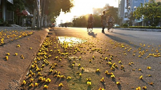 Miền Bắc ấm lên, Tây Bắc nắng nóng trên 35 độ C