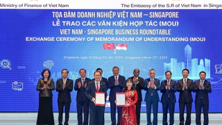 Trường Đại học VinUni và Đại học NTU hợp tác liên minh chiến lược