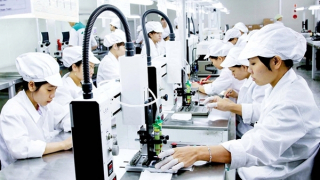 AI và bán dẫn là trụ cột chiến lược cho sự phát triển