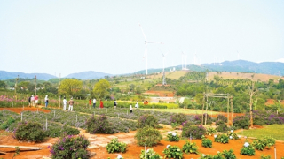 Quảng Trị mở rộng phát triển kinh tế vùng gò đồi, miền núi