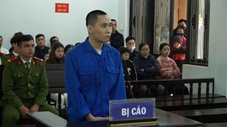 Cái giá của “những con ngựa thồ”