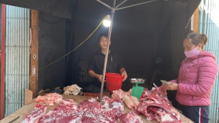 Giá lợn hơi tại Ninh Thuận, Đắk Lắk giảm nhẹ, nhiều địa phương giá lợn vẫn cao