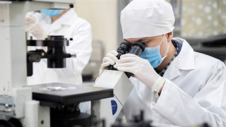 Bài cuối: Lối mở “hút” các nhà khoa học, nguồn nhân lực chất lượng cao