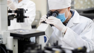 Đề xuất chuyên gia cao cấp được hưởng chế độ tương đương chức danh bộ trưởng