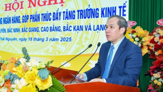 Doanh nghiệp “đau đáu” mong giảm lãi suất, hạ tỷ giá