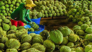 Giả mạo đặc sản địa phương: Nguy cơ mất thương hiệu và lòng tin