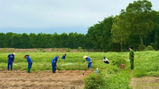 Chuyển biến tích cực sau tiếp nhận chức năng quản lý về cai nghiện ma tuý trên địa bàn Hà Tĩnh