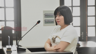 Mua “hàng đá” từ TP Hồ Chí Minh về Bạc Liêu tiêu thụ, bị phạt 20 năm tù