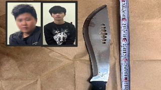 Cháu nội thuê bạn sát hại bà nội rồi đốt nhà